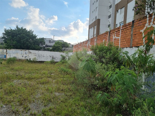 Imagem 5 de 15 de Terreno Chacara Santo Antonio - Reo651595