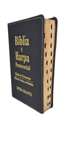 Bíblia Sagrada - Letra Gigante - Harpa - Corinhos - Presente
