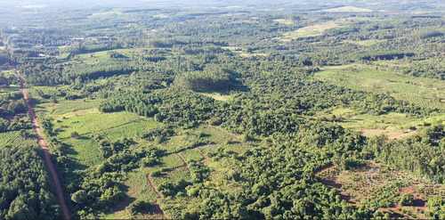 Se Vende Chacra En San Ignacio Misiones. Yerba, Forestación Y Arroyo