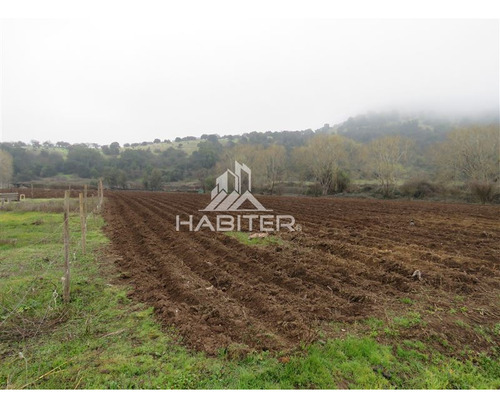 Imagen 23 de 30 de Agrícola En Venta En Teno