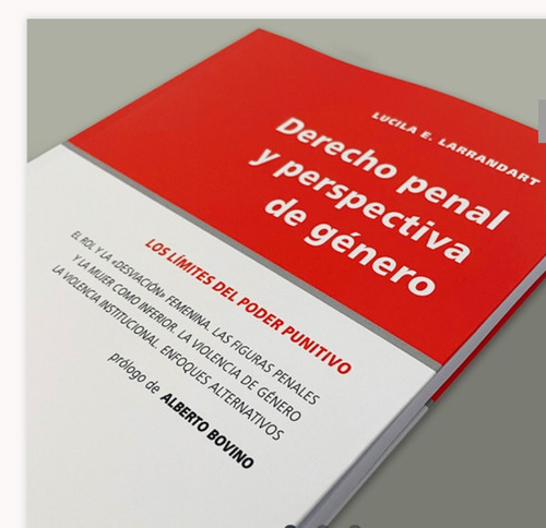 Larrandart Derecho Penal Y Perspectiva De Género Nvo 2021