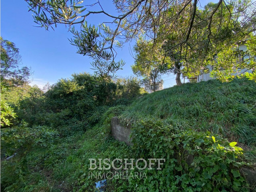 Venta De Lote En Ostende Calle Moreno