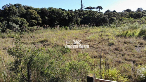 Imagem 4 de 23 de Área À Venda, 11914 M² Por R$ 5.766.419,56 - Cidade Industrial - Curitiba/pr - Ar0007