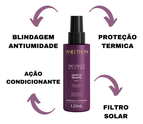 No Frizz Aneethun Kit Shampoo + Mascara + Cond - Lançamento