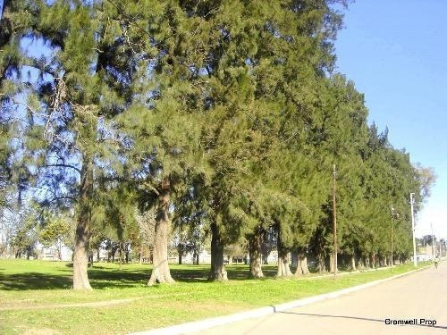 Imagen 3 de 7 de Lote En Venta En Merlo Norte