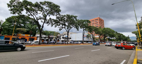 Imagen 8 de 14 de Local En Alquiler Avenida Bolivar