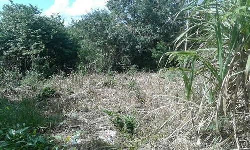 Imagem 3 de 3 de Terreno Loteamento Para Venda, 1739.0m² - 8772