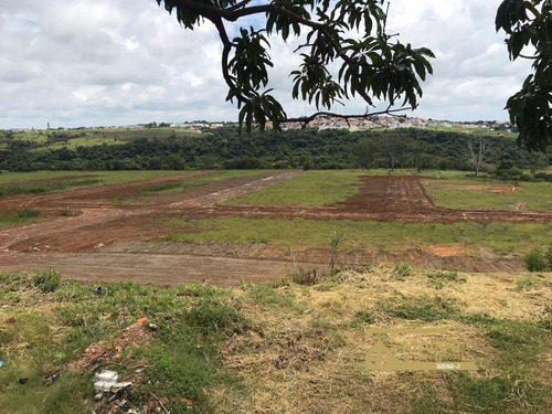 Imagem 6 de 30 de Jardim Novo São Pedro Terrenos A Venda Salto Com 176 M² - Te00025 - 34841753