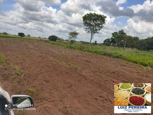 Imagem 9 de 14 de Fazenda À Venda Em Santa Rita Do Pardo - Ms - 650 Hectares (pecuária) - 1657