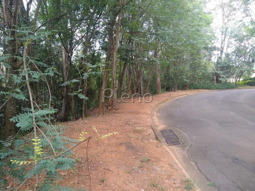 Imagem 14 de 15 de Terreno À Venda Em Joaquim Egídio - Te028079