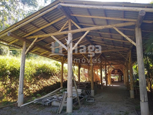 Chácara À Venda Em Gaspar/sc - 1534c