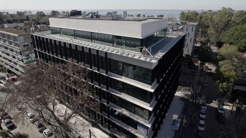 Imagen 1 de 15 de Oficina Alquiler | Domus Office, Vicente López | 5.512 M²