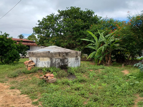 Chácara Com Casa Três Quartos Sala De Estar Cozinha E Dois B