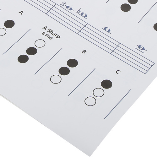 Tabla De Acordes De Trompeta Digitación Nota Instrumento Mus