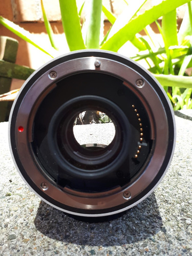Teleconvertidor Canon Extender 2 X Lii