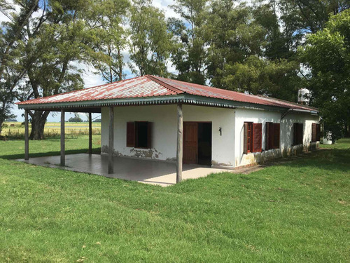 Imagen 9 de 13 de Campo De 170 Hectáreas