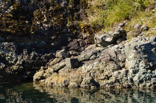 Agrícola En Venta En Hualaihue
