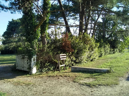 Imagen 10 de 13 de Casa Quinta Con Gran Parque. A 150 Mts De Ruta 88
