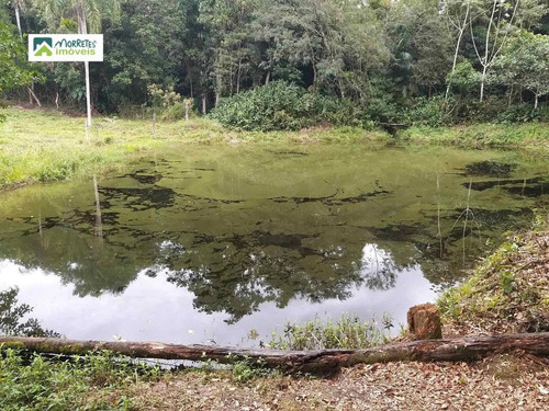 Imagem 19 de 27 de Chacara-para-venda-em-itaperucu-morretes-pr - 127