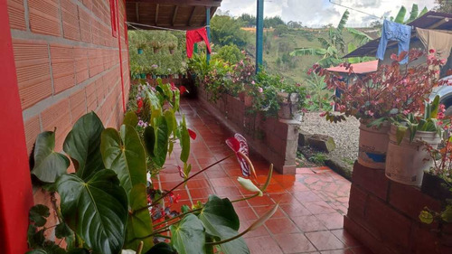 Imagen 11 de 24 de Finca En Rionegro 8.500 Mts 1.100 Millones