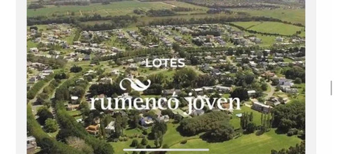 Lote Rumenco Joven