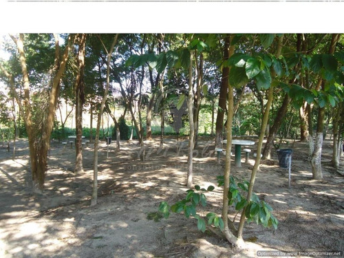 Casa À Venda Em - Ca031924