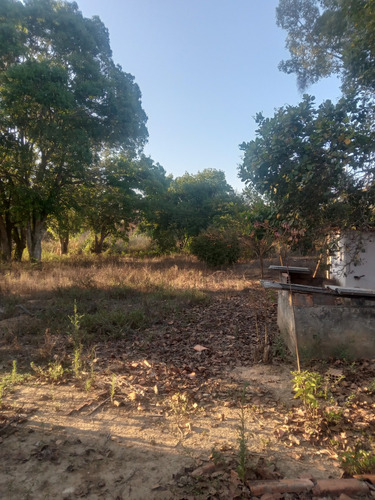 Sitio, Sendo Casa Com 3 Quartos,uma Suite,um Banheiro Social