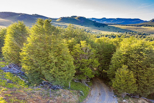 Parcela Lote 14, 0,5 Ha, 30 A 40 Minutos A Coyhaique