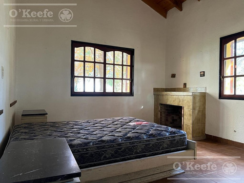 Imagen 6 de 26 de 100 Has En Punta Indio - Excelente Acceso - Ideal Haras!