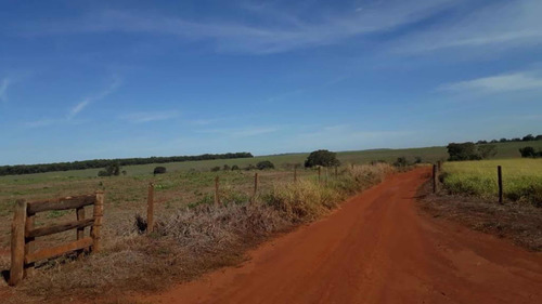 Imagem 7 de 10 de Fazenda Dupla Aptidão Município Quirinopolis