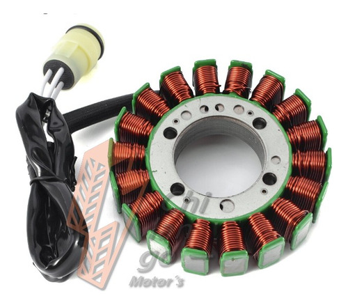 Estator Para Kawasaki Z750s 05-06