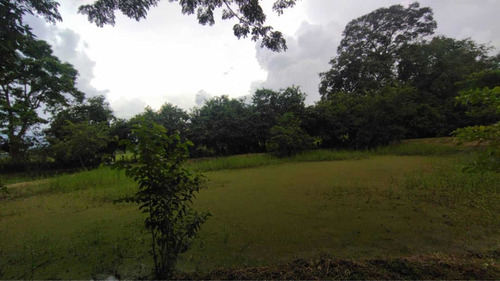 Imagen 13 de 14 de Baja De Precio... En Venta Finca En El Municipio Montalban - Carabobo
