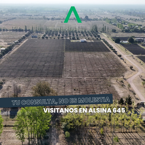 Finca Con Viñedos En Barrio Privado