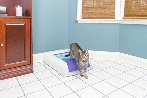 Arenero Para Gatos Con Limpieza Automática Pet Safe
