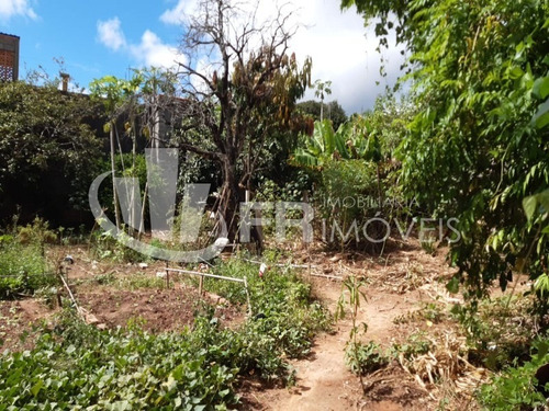 Imagem 2 de 3 de Terreno À Venda Na Vila Haro - Zona Leste - Sorocaba Sp. - 1821 - 69903728