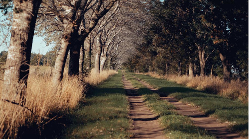 Terreno-estancia La Melisa-ruta 2