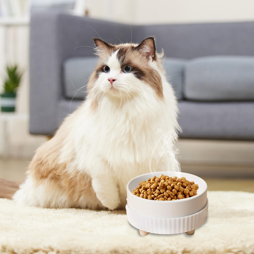 Bowl De Mascotas Caliente Para Invierno.mantiene Agua Tibia