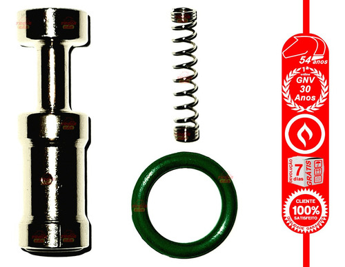 Imagem 4 de 6 de Jogo 4 Kit Reparo De Bicos Injetores Gnv Modelo Valtek Stag