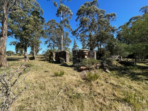 Imagen 20 de 30 de Campo 10 Has Y Media Con Casa Y Manantial Con Agua Permante. Consulte!!!!!!!!! - Zona Rural Zona Rural