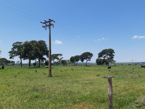 Imagem 7 de 11 de Fazenda Para Venda Em Santa Rita Do Pardo, Rural - Fazgu 315_1-1947859