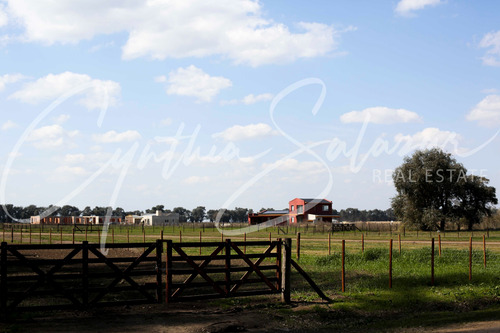 Venta Lote De Chacras De San Andres 1 Carlos Keen
