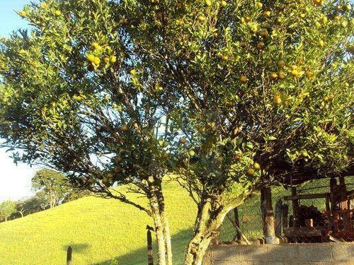Chácara À Venda, 6600 M² Por R$ 470.000,00 - Tanque Preto - Nazaré Paulista/sp - Ch0500