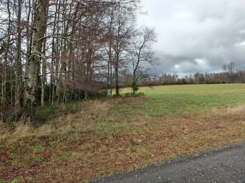 Parcela En Condominio 5000 Mt2
