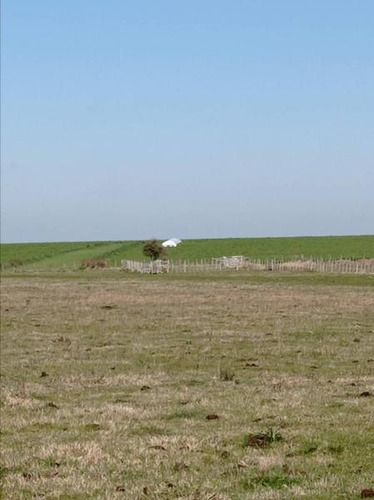 Imagen 21 de 23 de Campo Agrícola En Gualeguaychú (camino De Rojas)