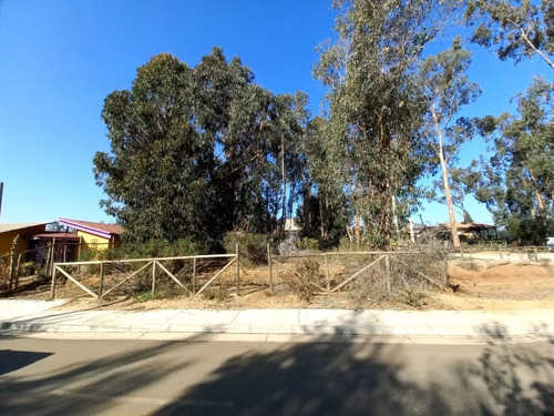 Bosques De Algarrobo, Sitio, Pasaje Pc 4, St. 24.