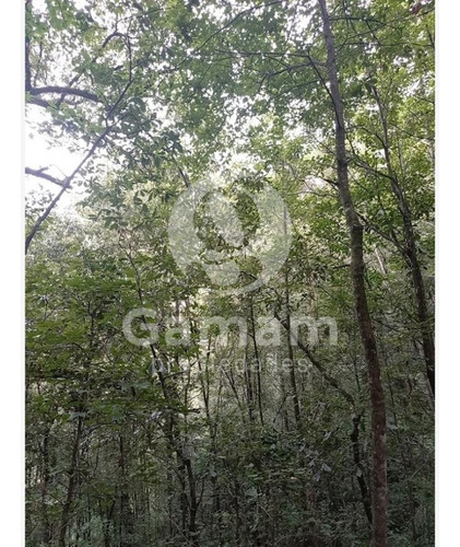 Terreno En Venta En El Texme Con Centro Ecoturistico Operativo