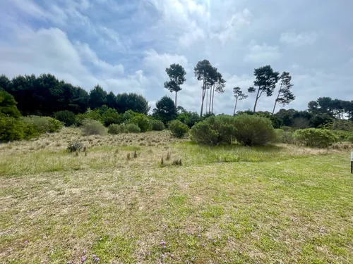 Venta Lote En Acres De Solanas Punta Ballena - Maldonado