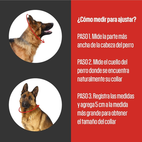 Imagen 3 de 5 de Collar De Castigo Perro Alemán Sprenger 55 Cm X 3.0 Mm