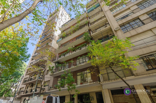 Imagen 2 de 25 de Recoleta Oficina Con 2 Patios Propios En Montevideo Y Posadas