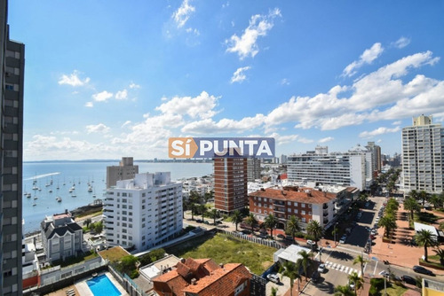 Imagen 7 de 30 de Apartamento A La Venta
